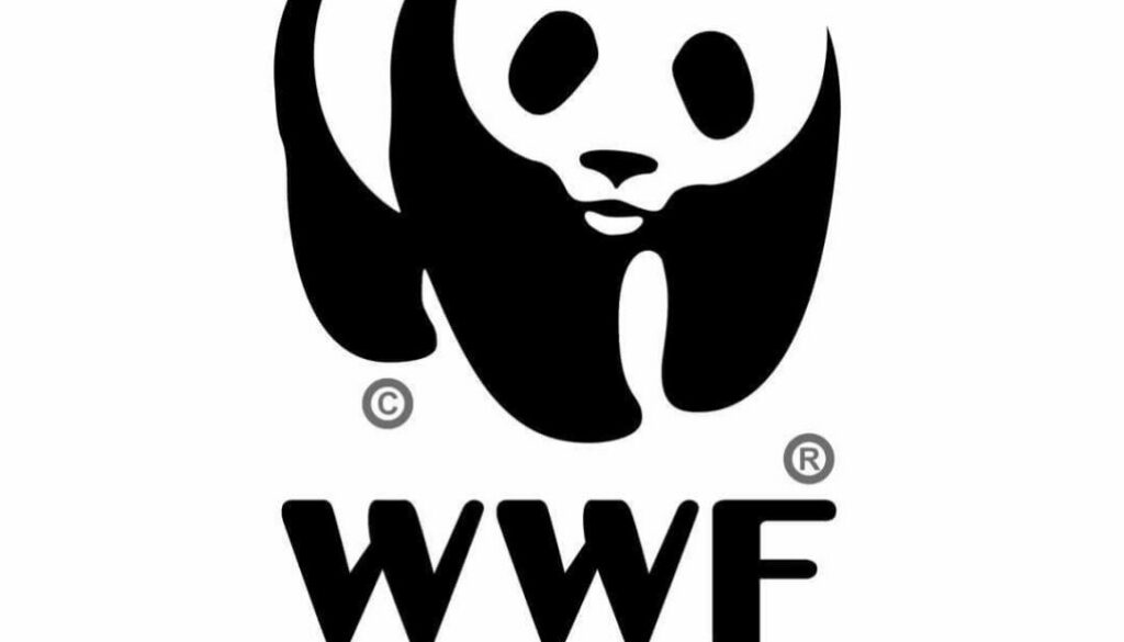 37892044_1566984350078897_6931928253393272832_o